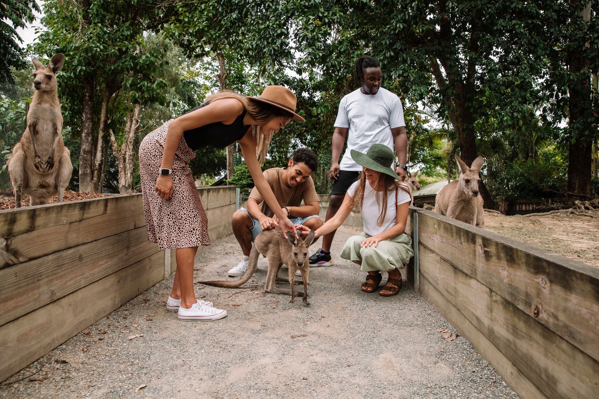Experience the joy of connecting with Australian wildlife up close as you interact with kangaroos and other unique species in a beautifully designed natural setting.