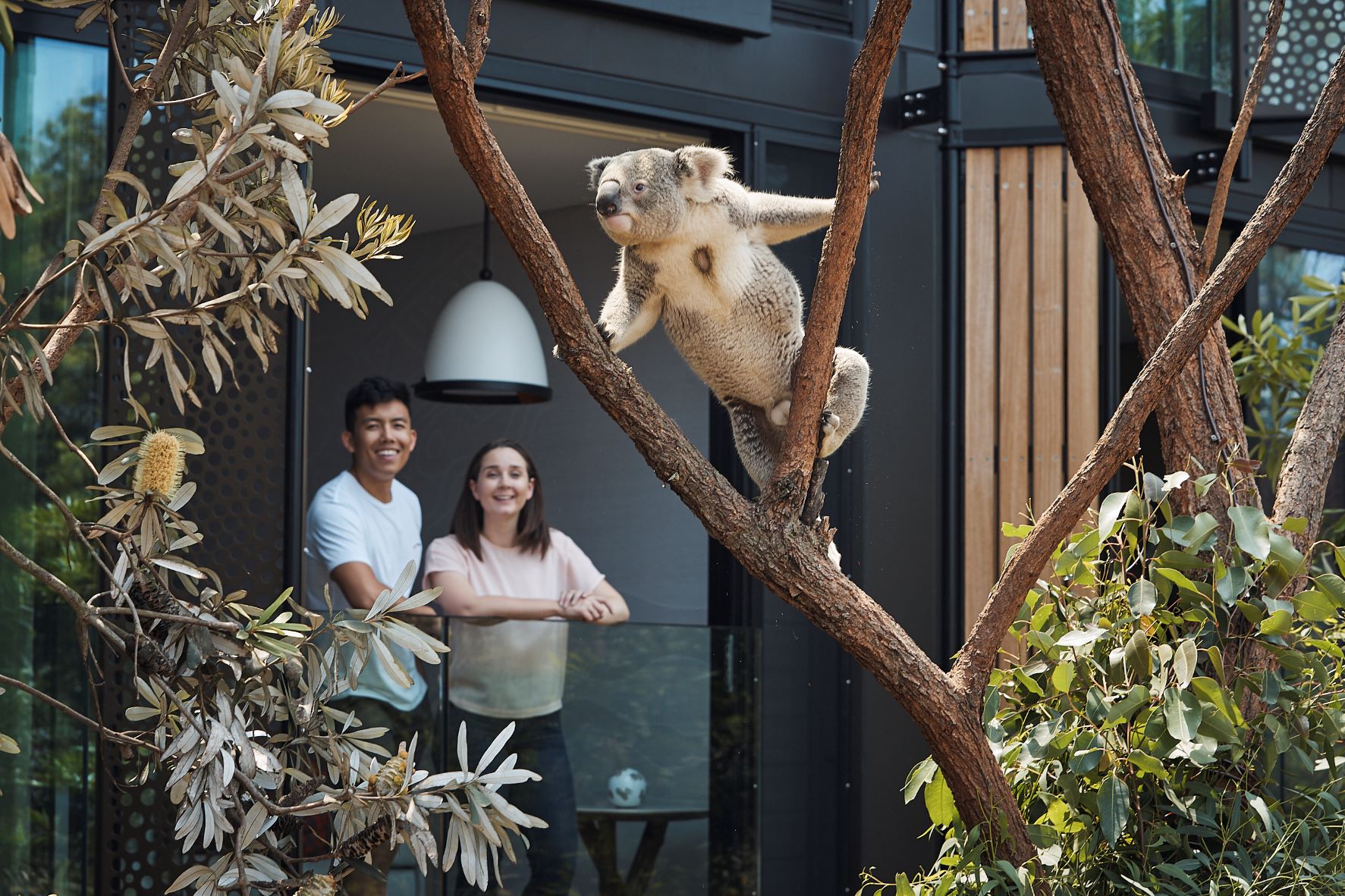 Experience the unique joy of wildlife encounters just minutes from Sydney with stunning bushland views and intimate moments with Australia’s native animals at your doorstep.