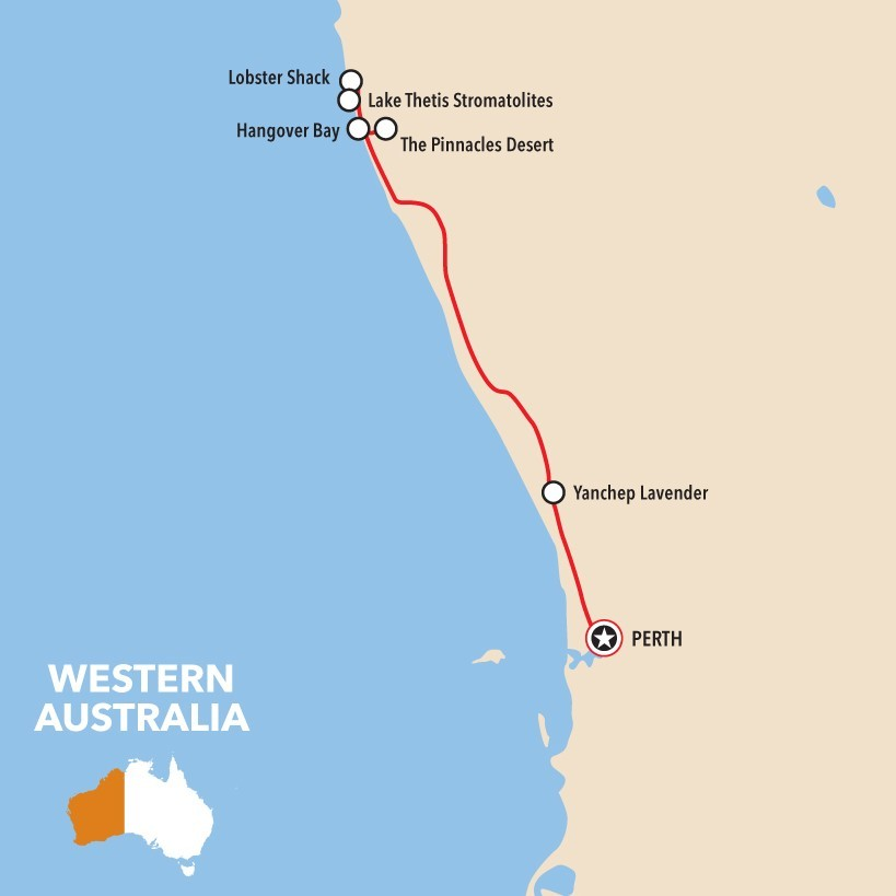 Wildlife Tours Australia: 1 Day Pinnacles Desert Lobster Tour - Photo 1 of 14
