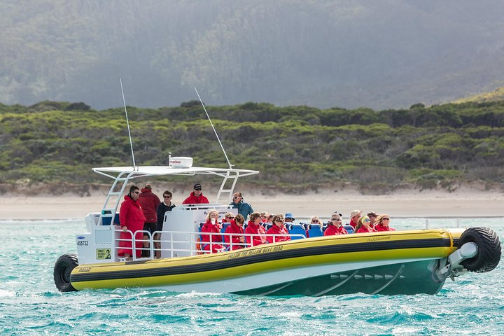 Wilsons Promontory Wilderness Cruise from Tidal River - Photo 1 of 8