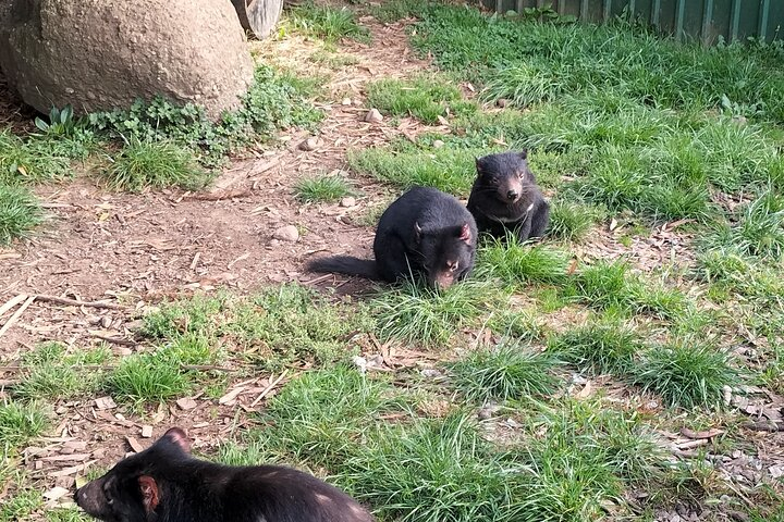 Wings Wildlife Park and Scenic Tour  - Photo 1 of 5