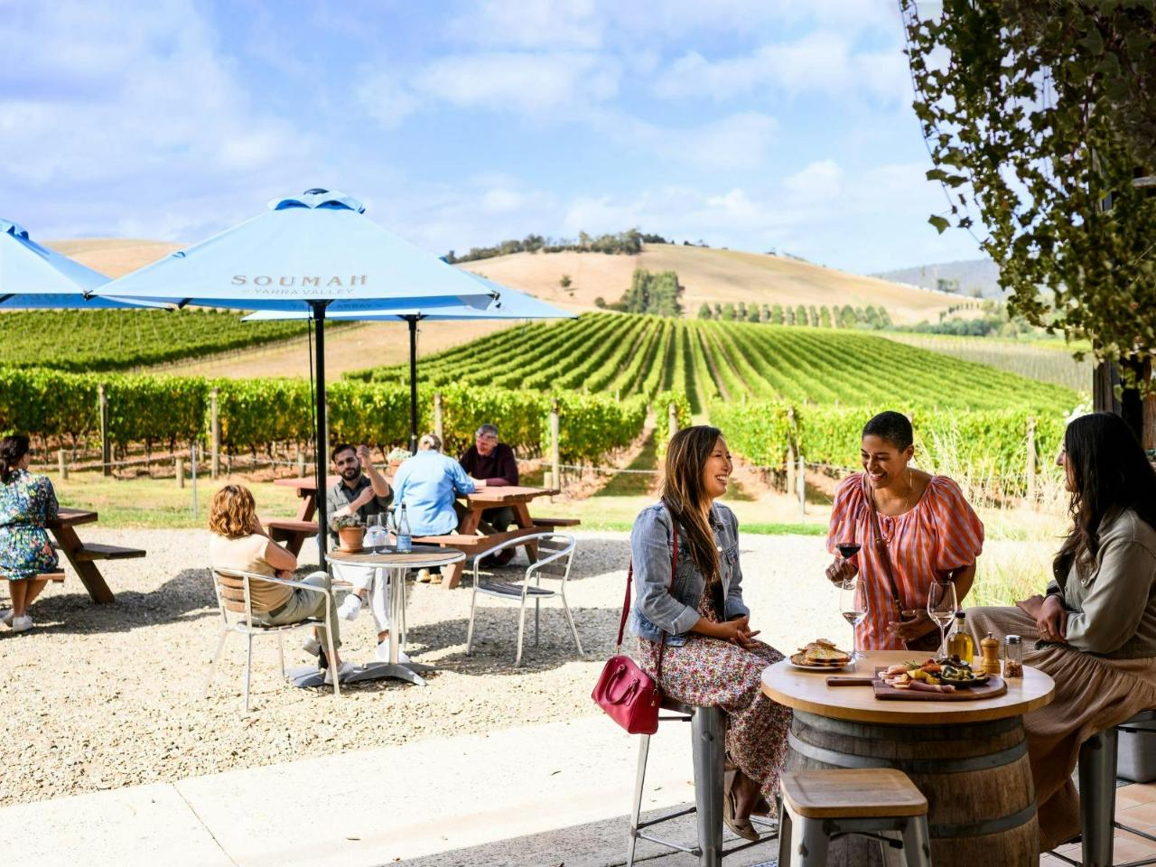 Yarra Valley Half Day Winery Tour - Afternoon - Photo 1 of 4