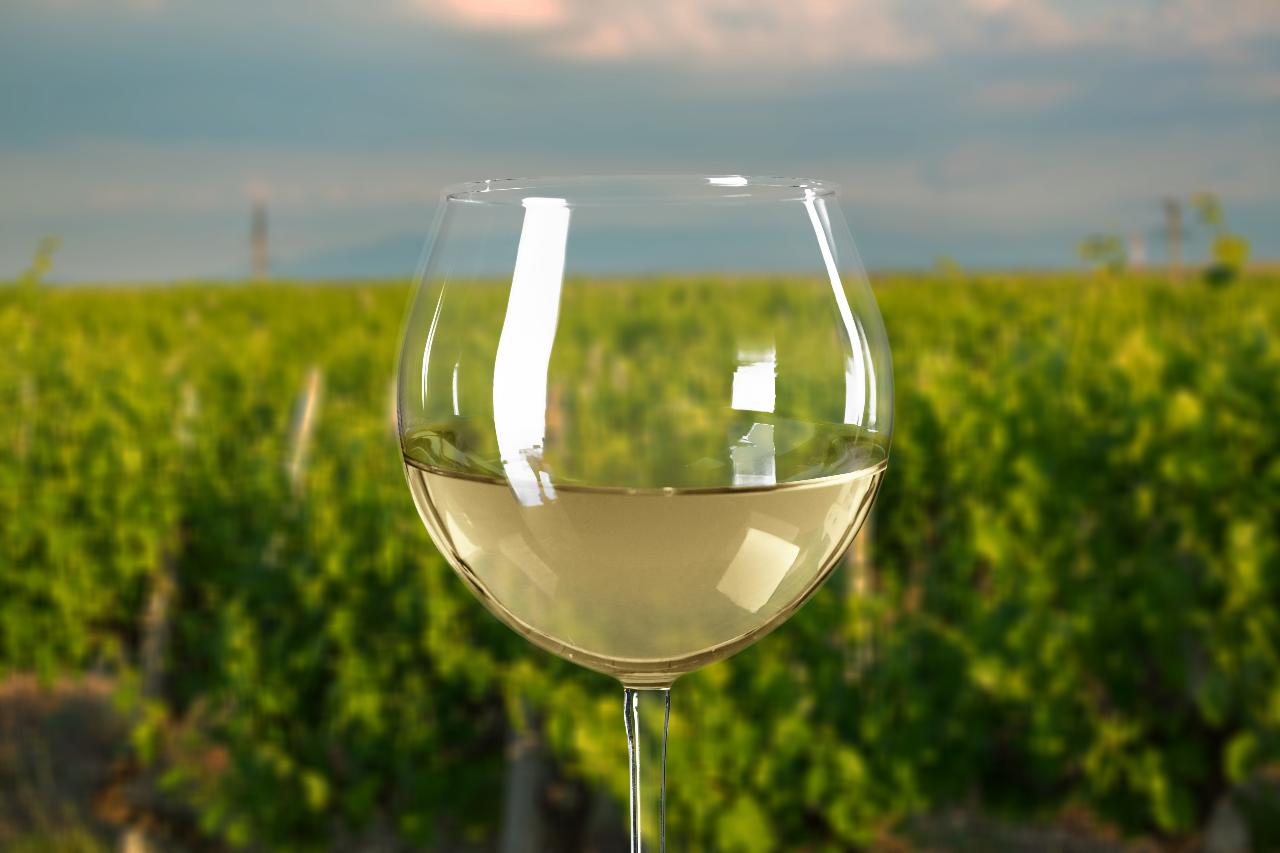 Yarra Valley Winery Private Car Tour Including Lunch With A Glass Of Wine  - Photo 1 of 12