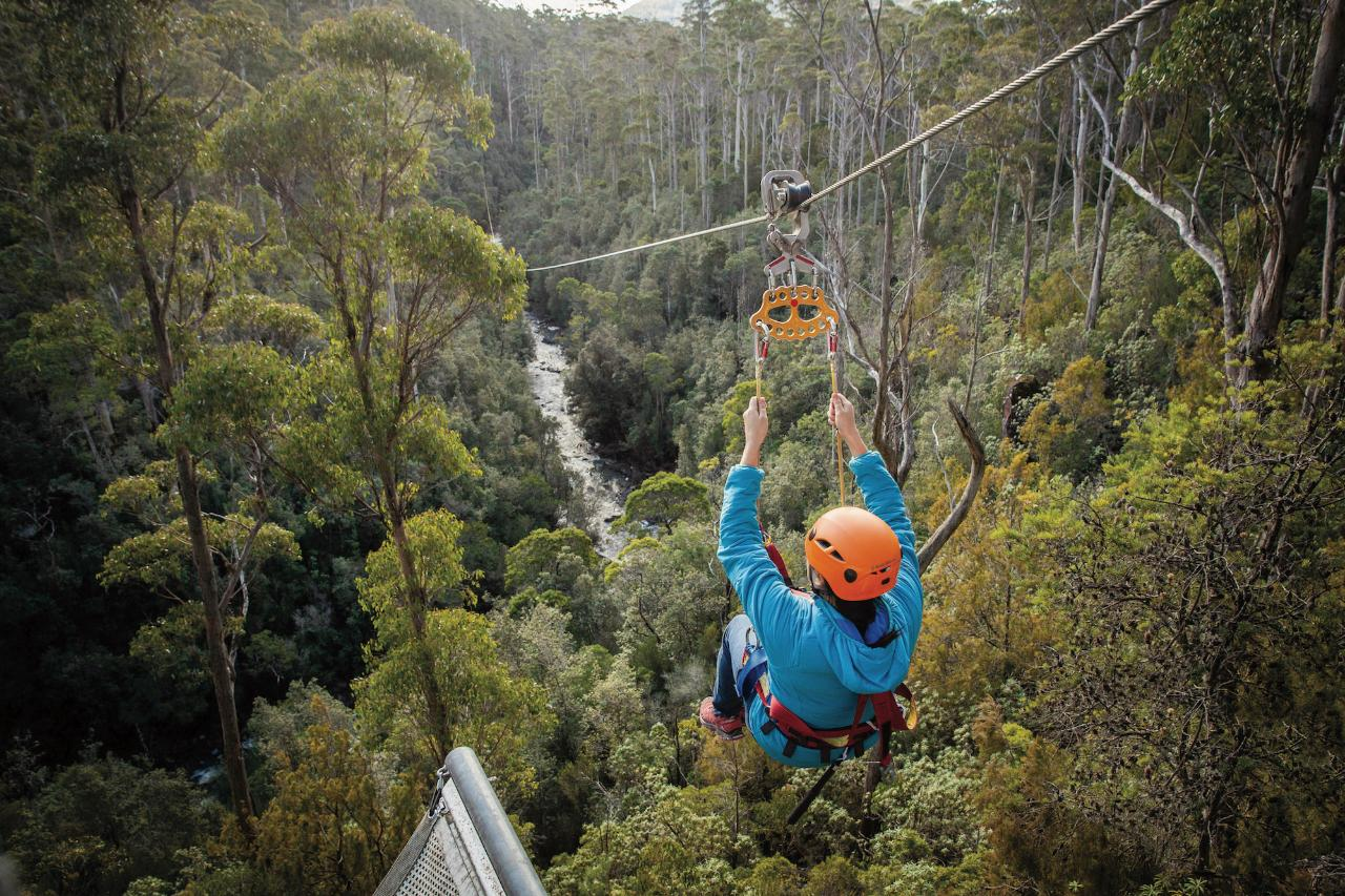 Zipline Tour (2.5hrs) - Photo 1 of 3