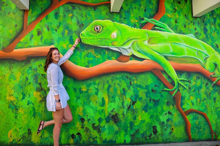 Art, Beach and Culture Island Tour with Kini Kini  - Photo 1 of 12