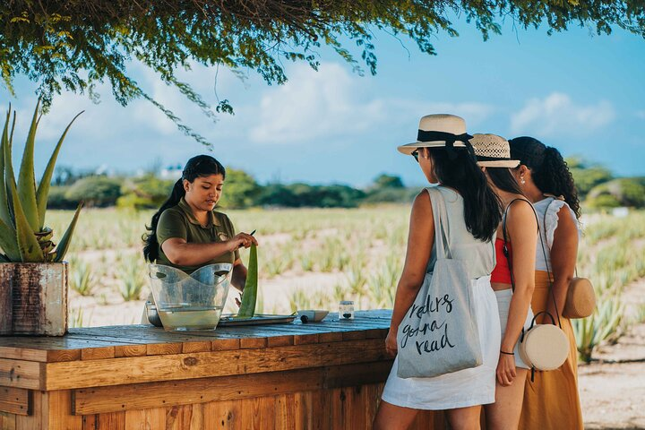 Aloe Vera Guide giving instructions on how to work with the Aloe