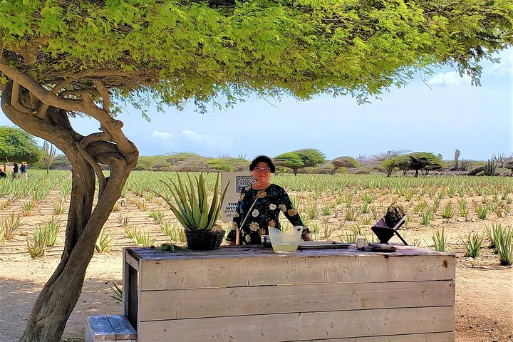Half-Day Aruba Island Tour from Oranjestad in Oranjestad | Pelago