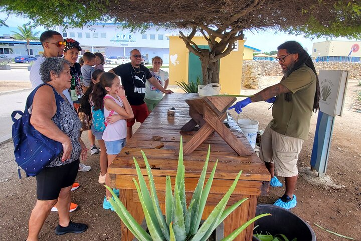  Aruba Private Tours on a ac bus  - Photo 1 of 17