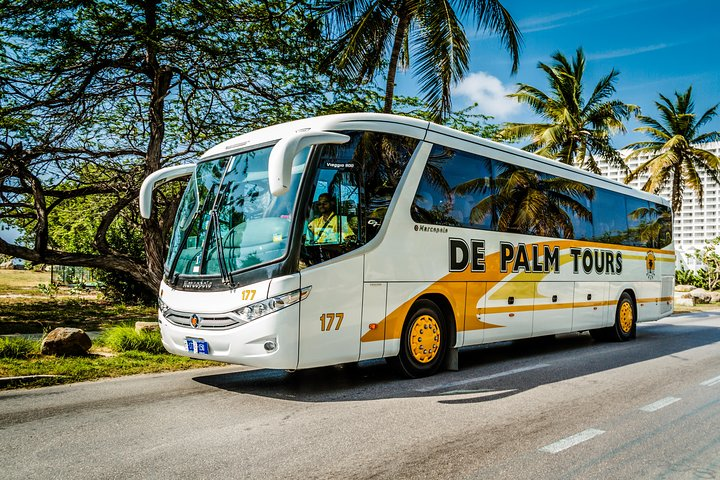 Aruba Sightseeing Tour with Transport - Photo 1 of 12