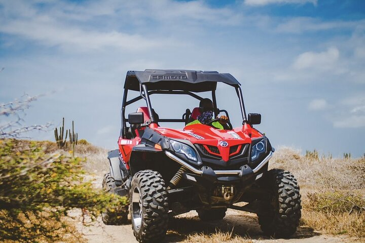 An adventurous ride made for you.