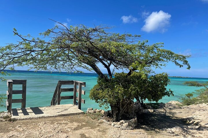 Private VIP Tours in Aruba - Photo 1 of 6