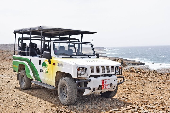 Embark on a trip on our Jeep, while you enter the National Park