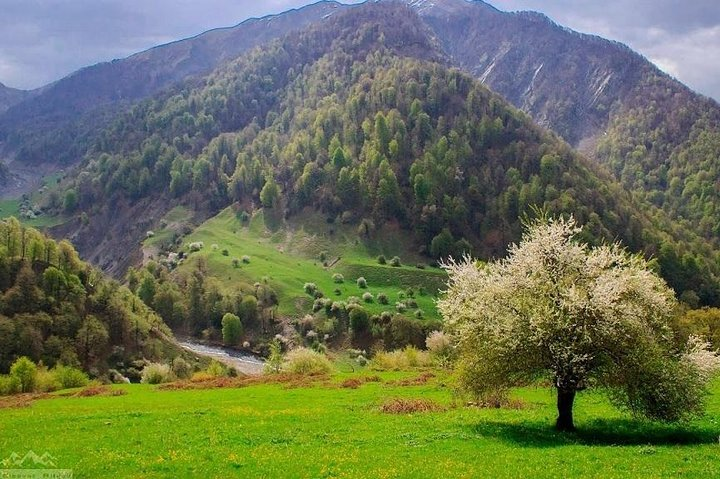 Lankaran-Masalli Tours - Photo 1 of 12