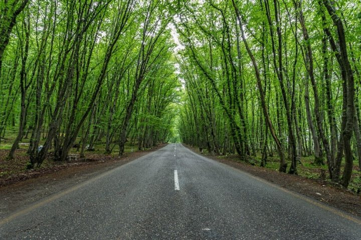 From Ubud: Waterfall, Water temple & rice terrace private tour - Photo 1 of 2
