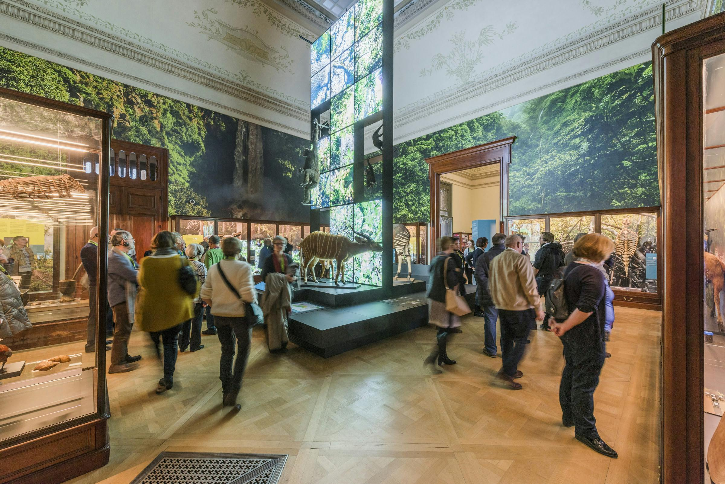 AfricaMuseum Brussels: Entry Ticket - Photo 1 of 12