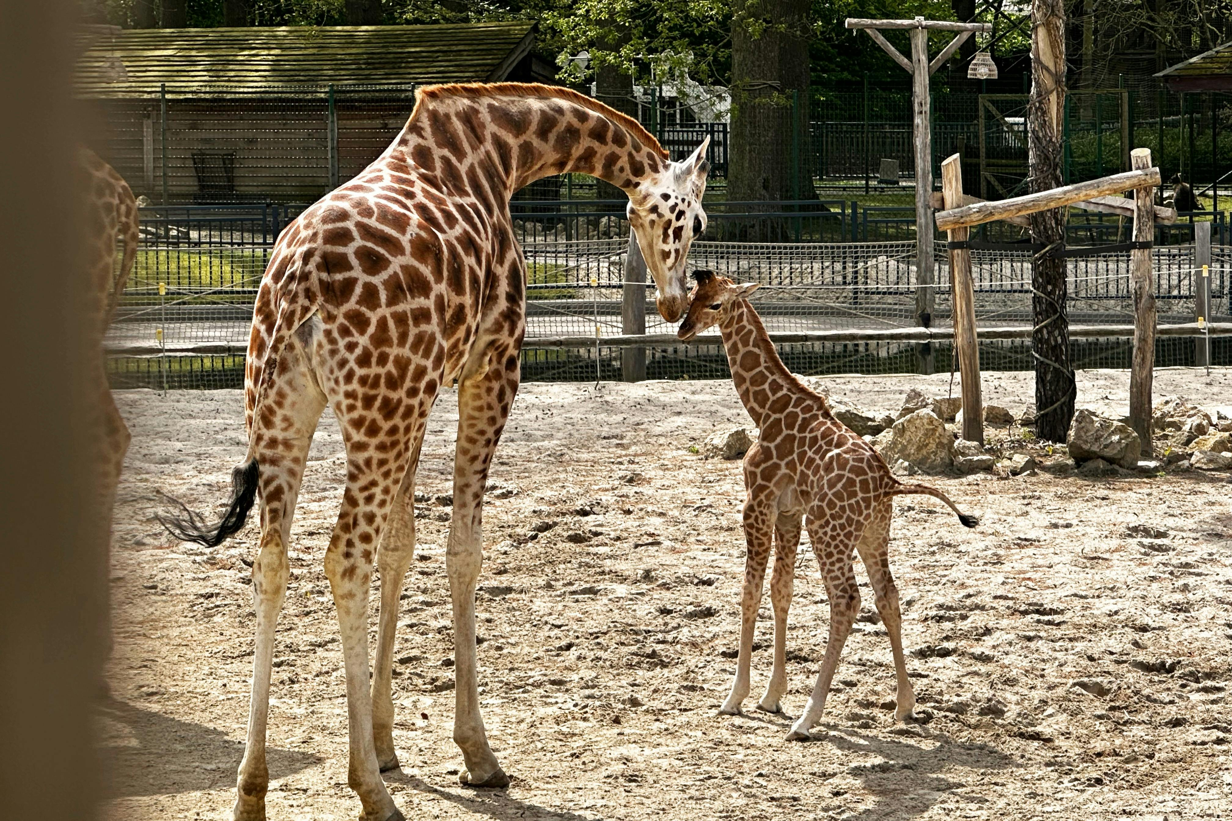 Bellewaerde Park: Entry Ticket - Photo 1 of 7