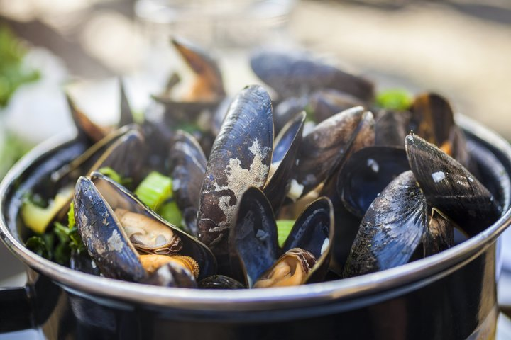 Brussels All In Tour : Belgian food, Chocolate, Beer, Sightseeing - Photo 1 of 25