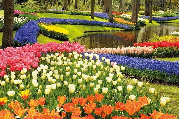 Private tour : Keukenhof Tulips and Delft Tour from Brussels Full day - Photo 1 of 10