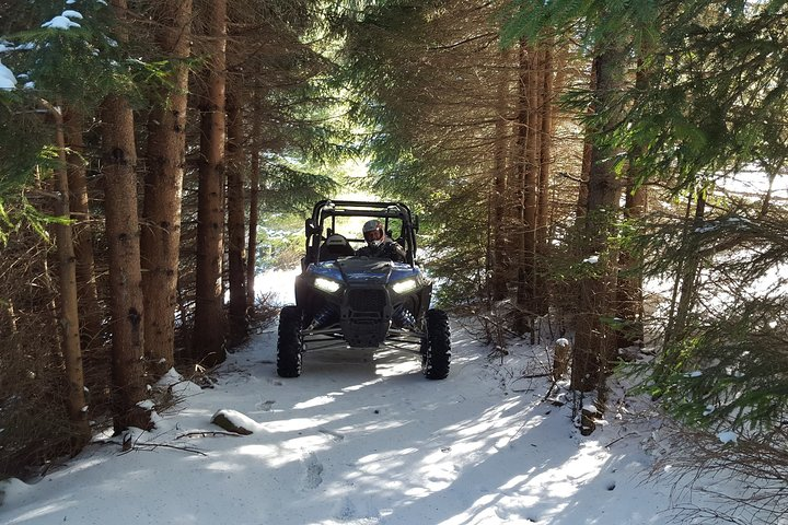 2 Hour Private Superb Buggy Adventure - Photo 1 of 6