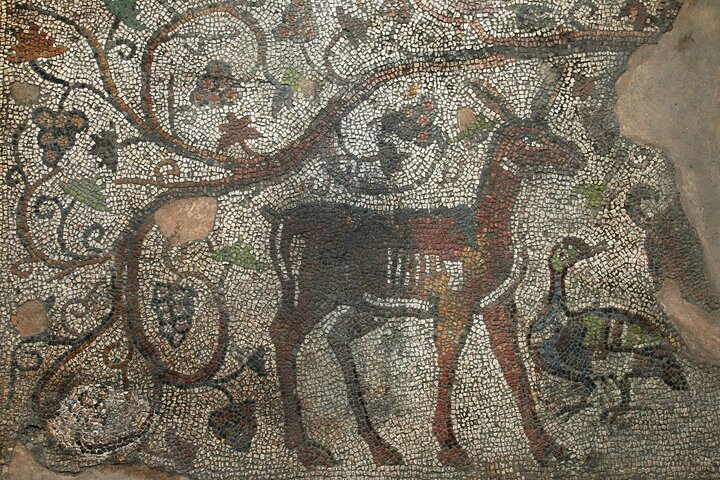 Archaeological tour-From the Neolithic to Modern times in Augusta Trayana - Photo 1 of 16