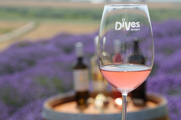 Aroma sampling of 5 Bulgarian Lavender varieties at DiVes Winery - Photo 1 of 19