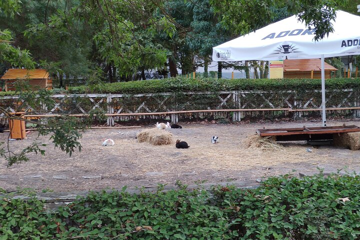 Audio Guide for All Sunny Beach Sights, Attractions or Experiences - Photo 1 of 6