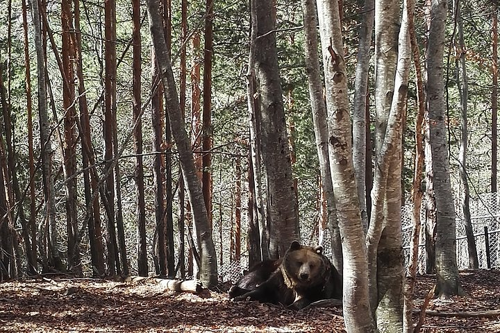 Eco Park Geranea Self-Guided - Photo 1 of 6