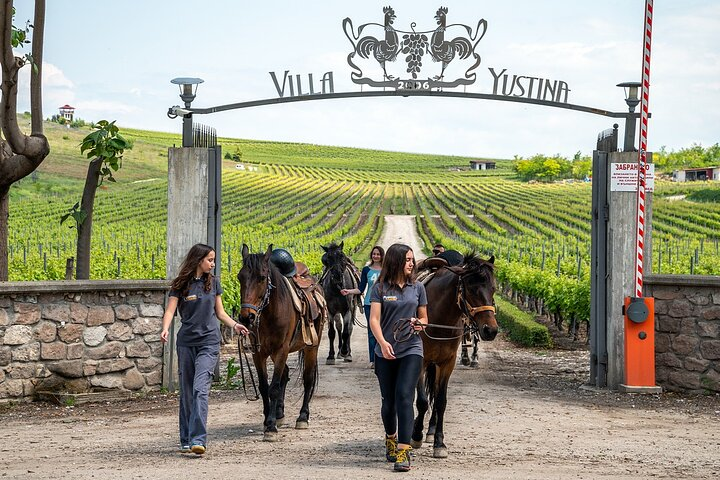Half-Day of Horseback Adventure with Wine Tasting - Photo 1 of 16