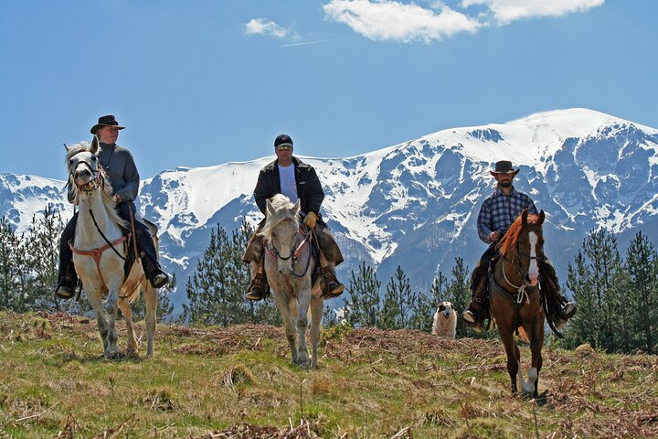 Horse riding experience from Bansko - Photo 1 of 5