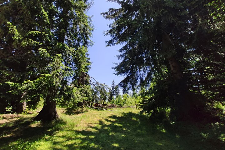 Local Adventures in the Rhodope Mountains - Photo 1 of 8