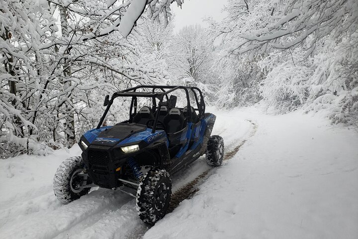 Private 1-Hour Quad or Buggy Safari in Borovets - Photo 1 of 7