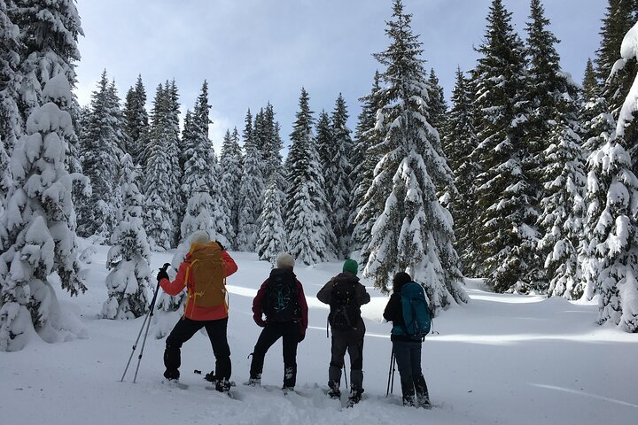 Snowshoeing day trip from Bansko to Rhodope Mountains - Photo 1 of 3