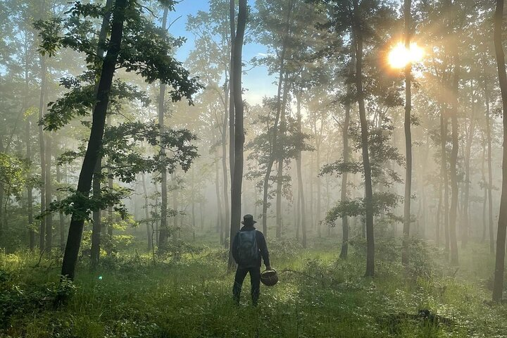 Culinary Adventure To The Fungi And Botanical Kingdom Of Bulgaria - Photo 1 of 25