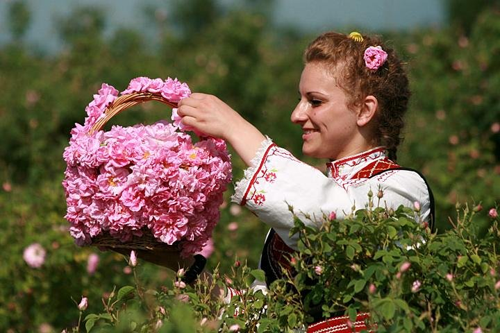 Locals during the gathering of the roses