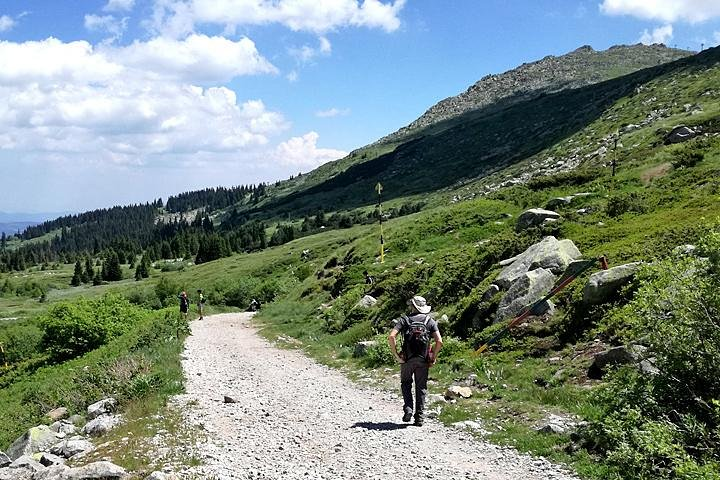 Vitosha Mountains and Cherni Vryh Peak (2290m) - Photo 1 of 9