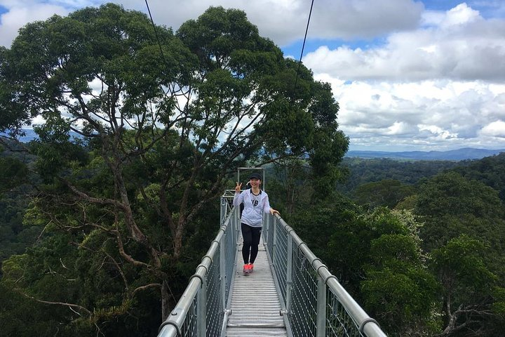 Full Day Trip of Brunei Ulu Temburong National Park including Canopy Walk - Photo 1 of 12