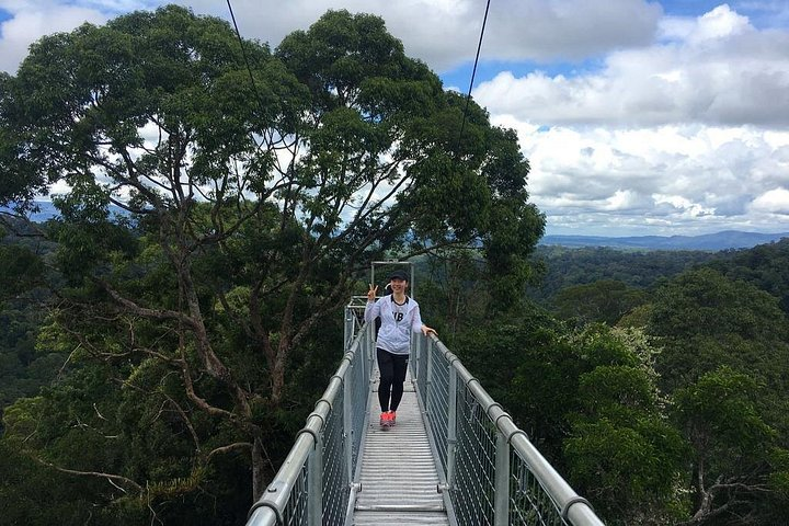 Full Day Trip of Brunei Ulu Temburong National Park including Canopy Walk - Photo 1 of 12