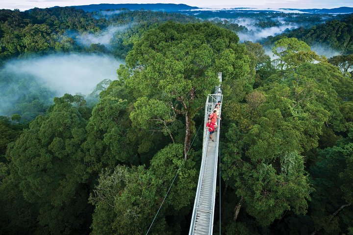 Canopy Walk