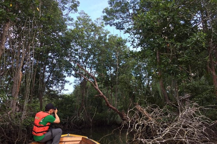 Private Bandar Highlight, Water Village & Proboscis Monkey Tour - Photo 1 of 12