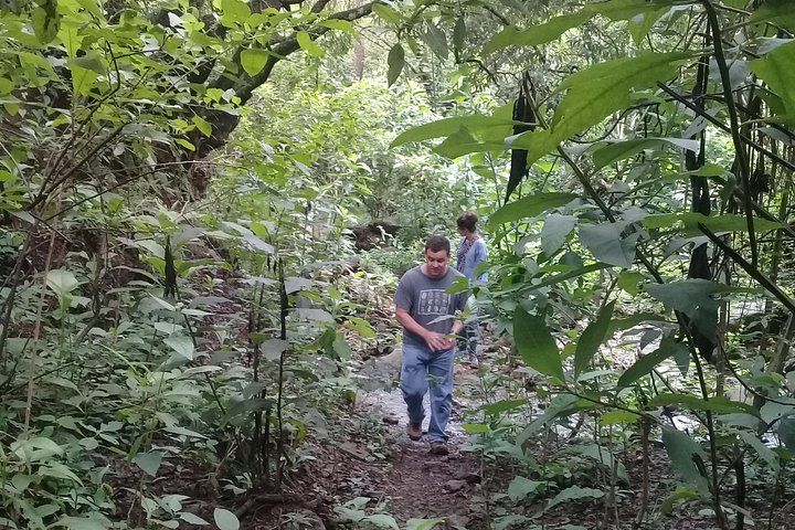 Historical trekking in the Churo Quebrada, La Higuera. In this thick vegetation of Vallegrande, we travel the scene of Ernesto "Che" Guevara's last fight in 1967.