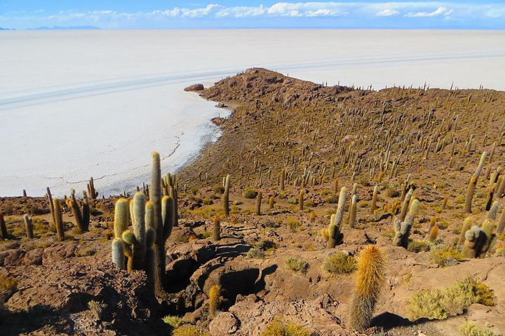 Salar De Uyuni (Classic 3 Days Trip) Spanish Guide - Photo 1 of 25