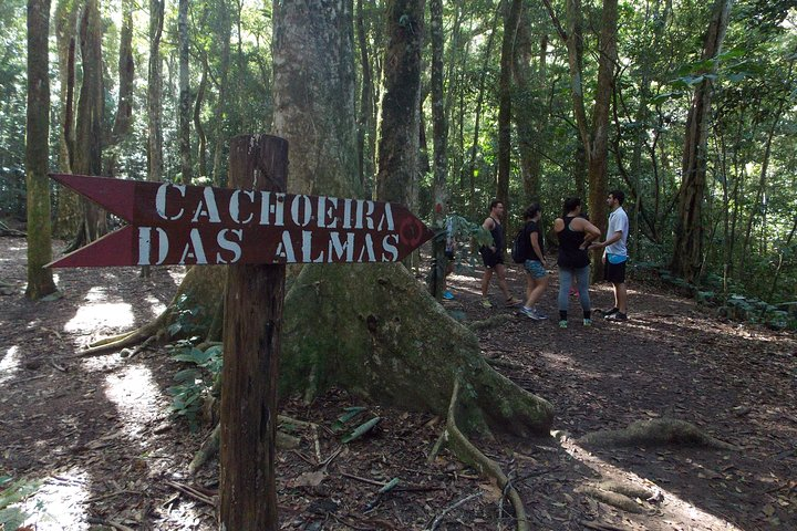 Tijuca Forest Trail