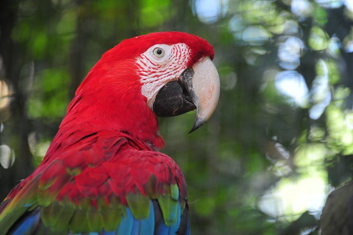 3-Days Foz do Iguaçu Classic Package - Photo 1 of 7