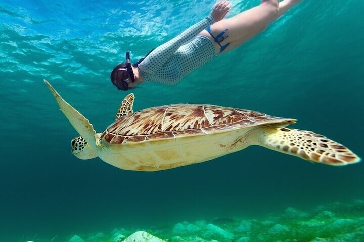 A BOAT TOUR to RIO ISLANDS with an AMAZING UNDERWATER FLIGHT! - Photo 1 of 18