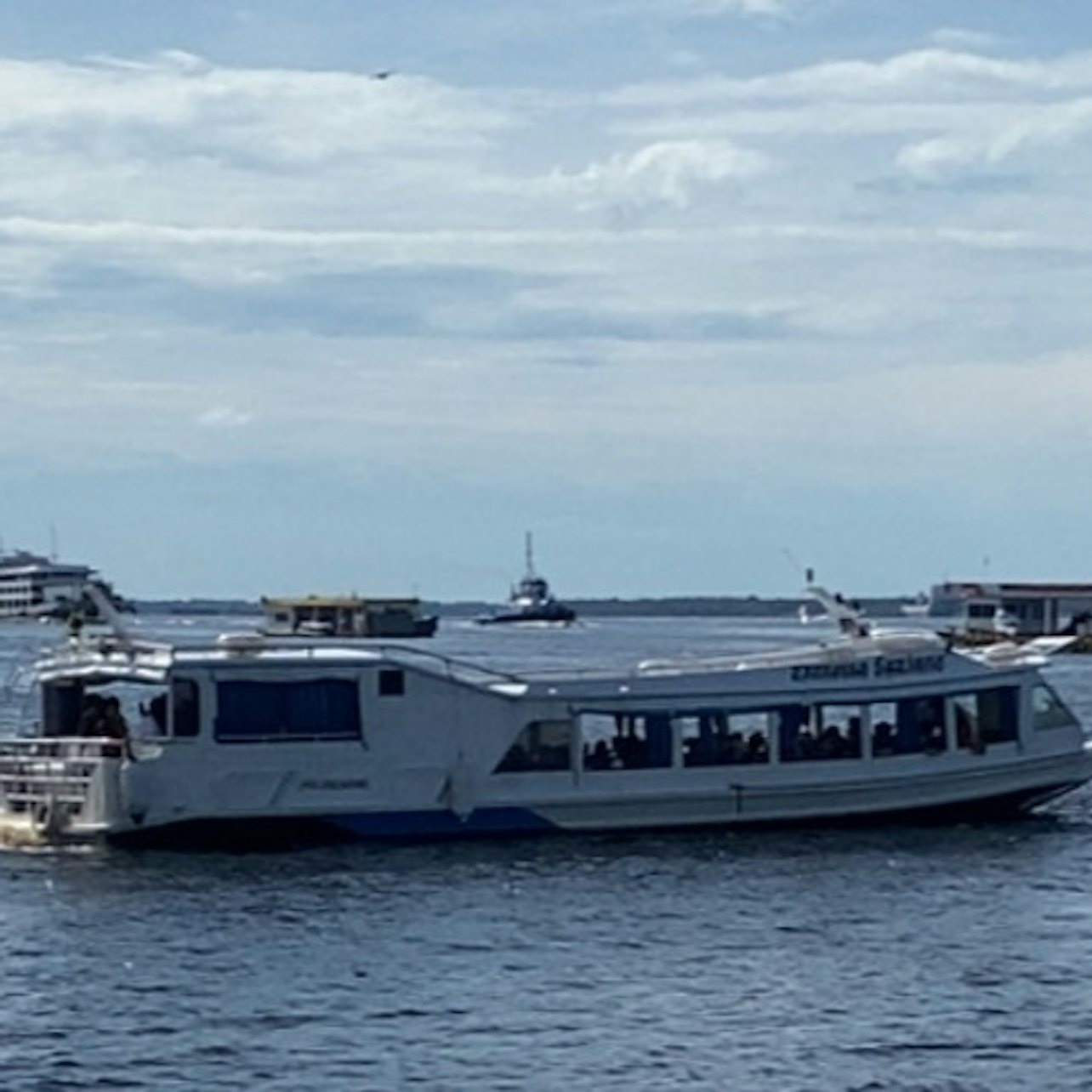 Manaus: Amazon Safari Tour - Photo 1 of 12