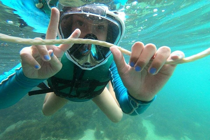 Aqua Adventure - Guided dive for families in Bombinhas - Photo 1 of 25