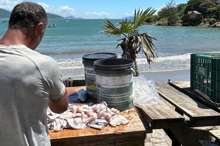BEACH TOUR GAROPABA - ESSENTIAL - Discover the most beautiful beaches in Garopaba - Photo 1 of 10