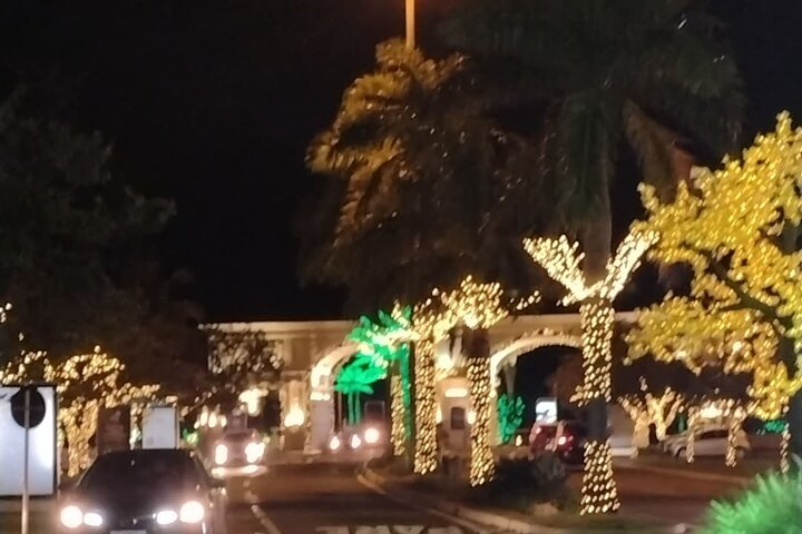 City Night Tour - Photo 1 of 25