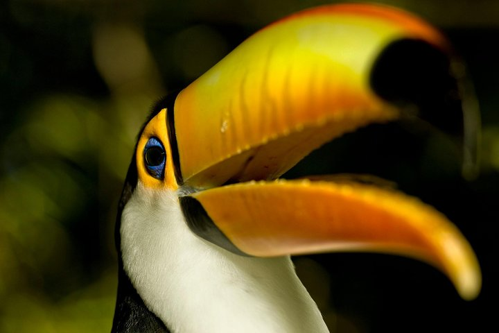 Brazil Family Adventure - Private Multi Day Tour - Photo 1 of 10