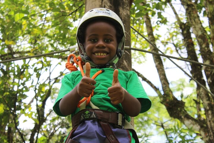Tree climbing among the araucarias - Photo 1 of 5